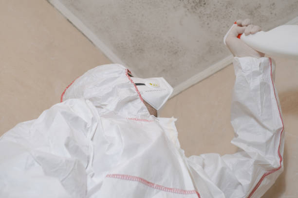 Best Commercial Mold Remediation in Erda, UT